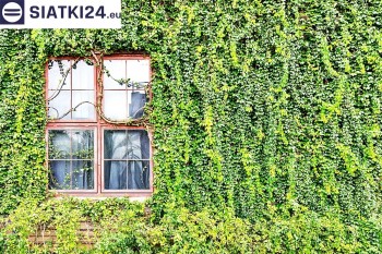 Siatki Gorlice - Siatka z dużym oczkiem - wsparcie dla roślin pnących na altance, domu i garażu dla terenów Gorlic